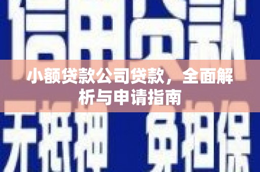 金牛小额贷款公司贷款，全面解析与申请指南