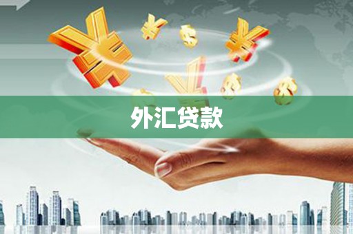 金牛外汇贷款