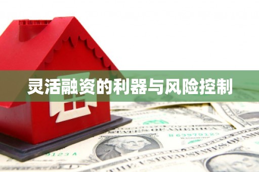 金牛灵活融资的利器与风险控制