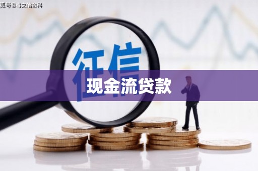 金牛现金流贷款
