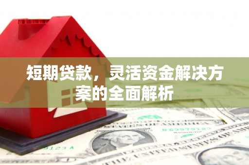 金牛短期贷款，灵活资金解决方案的全面解析
