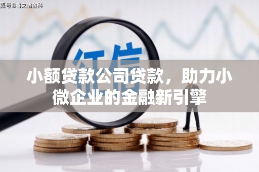 金牛小额贷款公司贷款，助力小微企业的金融新引擎