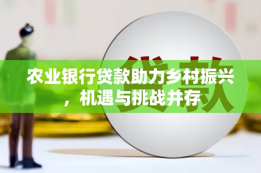 金牛农业银行贷款助力乡村振兴，机遇与挑战并存
