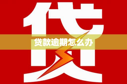 金牛贷款逾期怎么办