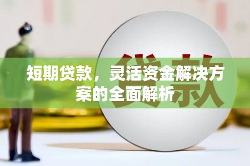 金牛短期贷款，灵活资金解决方案的全面解析