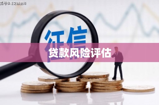 金牛贷款风险评估