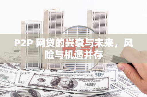 金牛P2P 网贷的兴衰与未来，风险与机遇并存