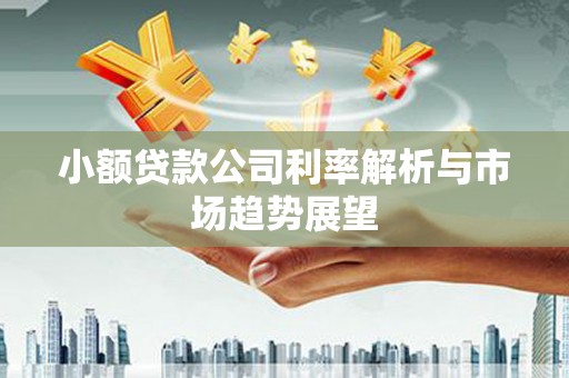 金牛小额贷款公司利率解析与市场趋势展望