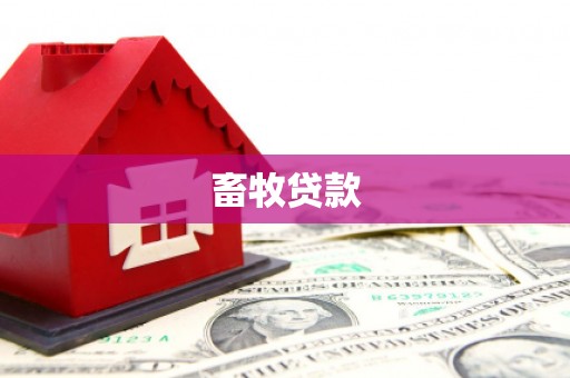 金牛畜牧贷款