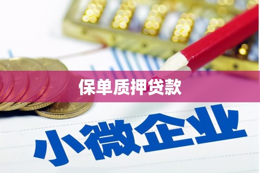 金牛保单质押贷款