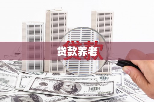 金牛贷款养老