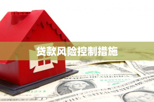金牛贷款风险控制措施