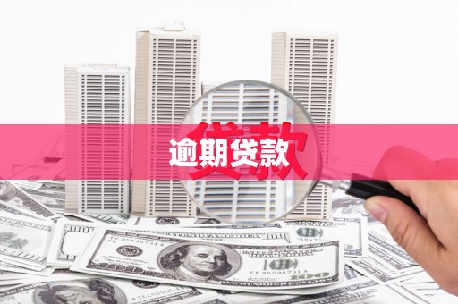金牛逾期贷款